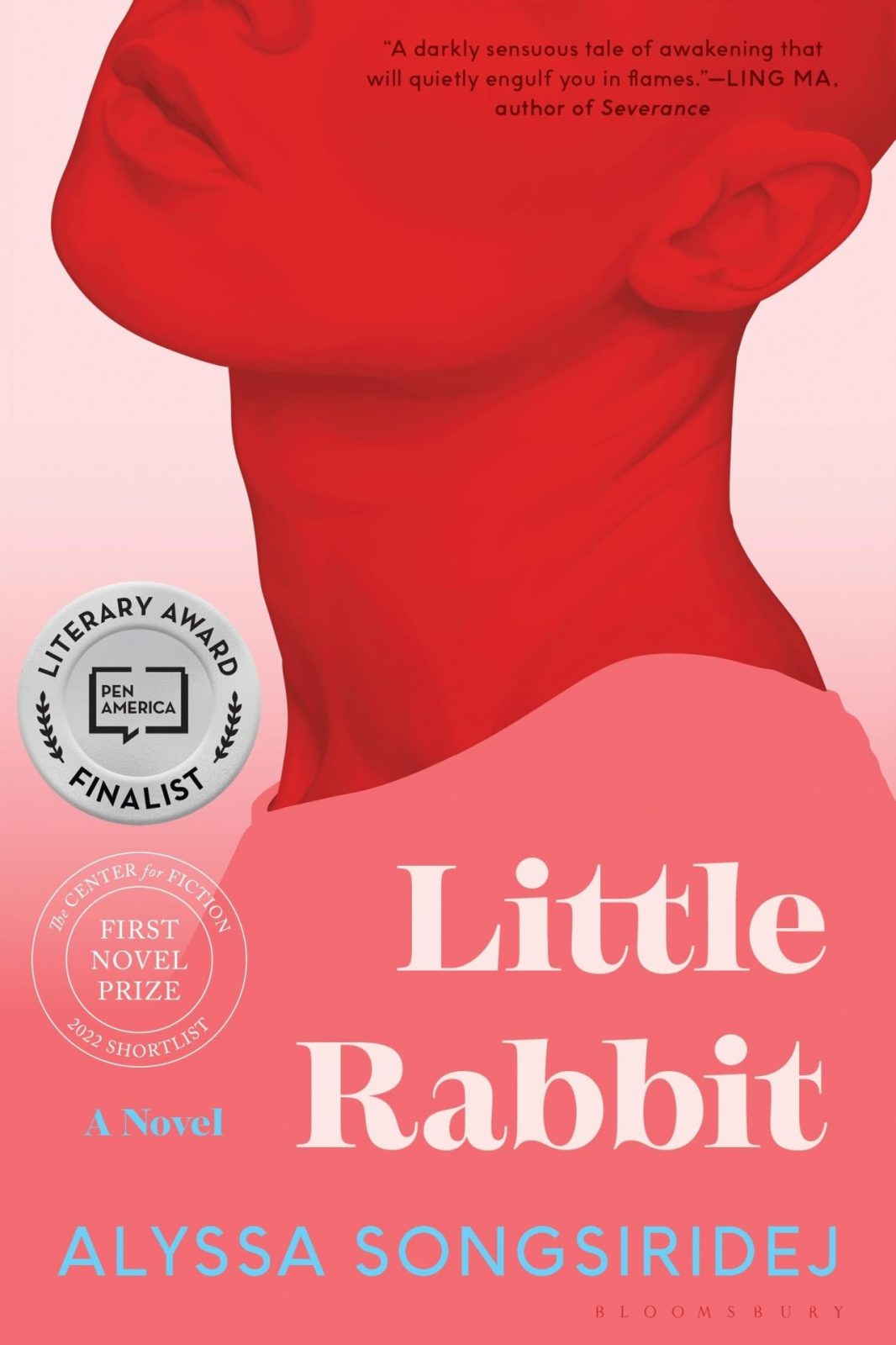 Little Rabbit novel, paperback edition
