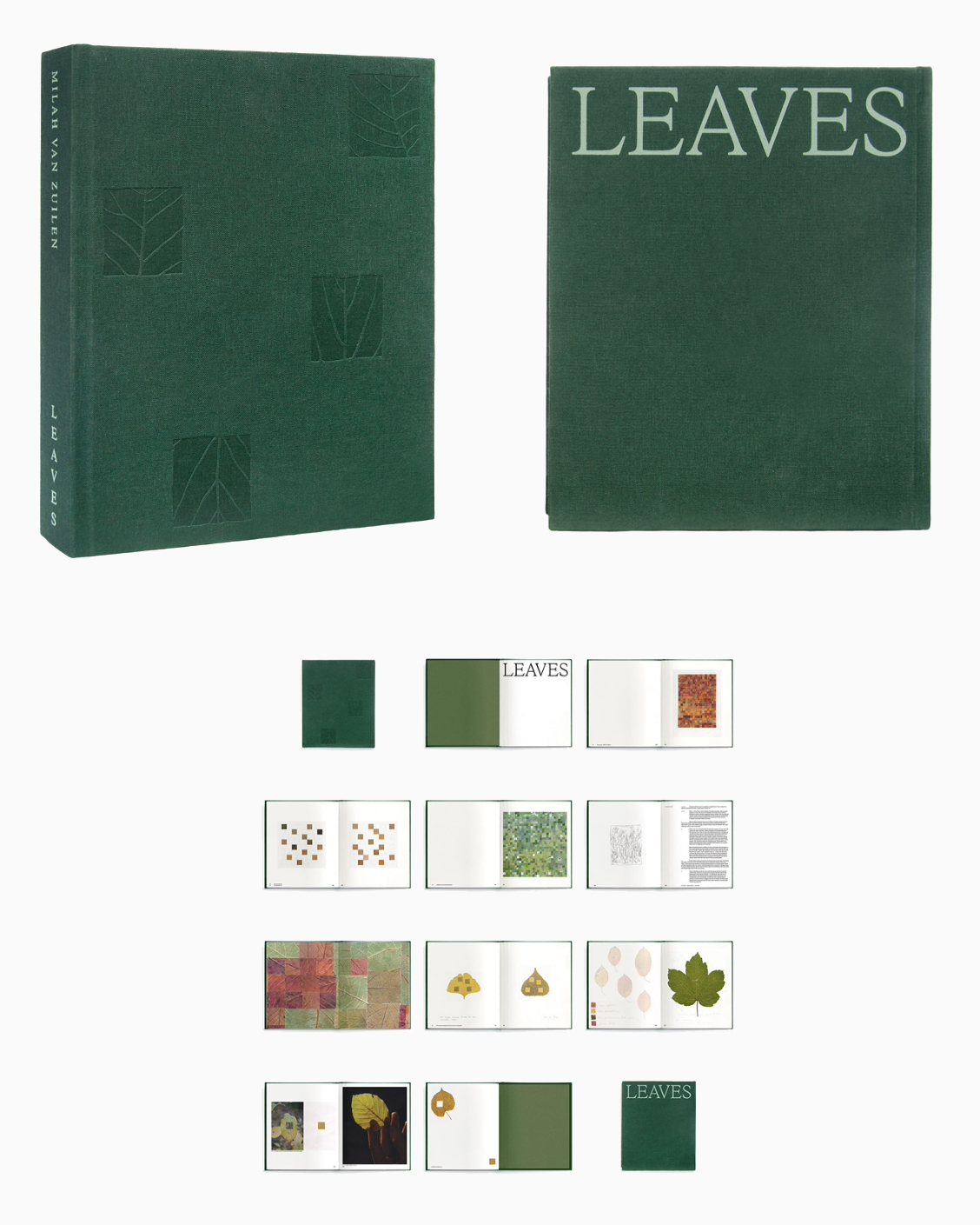 Artist's book "LEAVES", published in 2025.